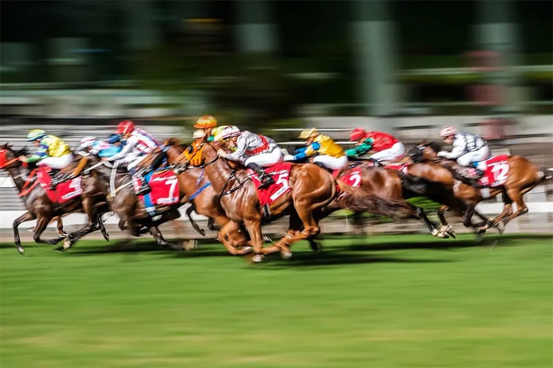 競馬