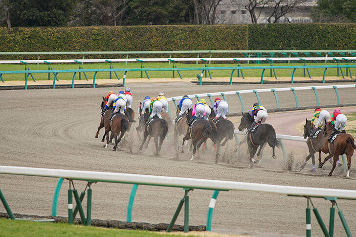 芝を上回る「直線の上り坂」のためハードなダートコース 競馬