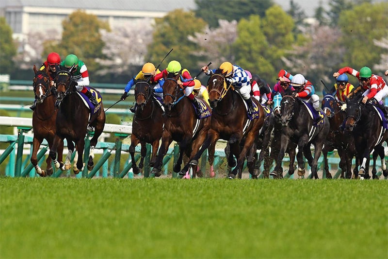 中京競馬場の芝 競馬