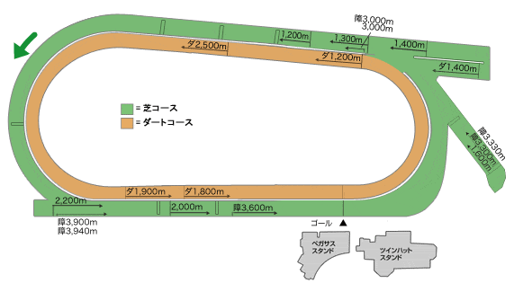 中京の芝のポイントは「坂」と「スパイラルカーブ」