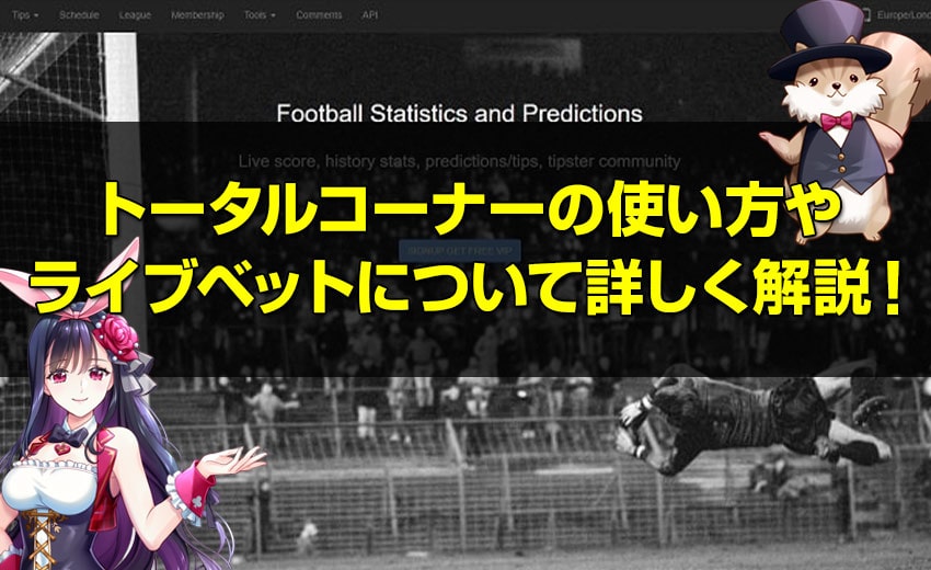トータルコーナーの使い方やライブベットについて詳しく解説！