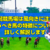 新潟競馬場は風向きに注意！特徴と買うべき馬の特徴についても詳しく解説します。