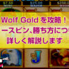Wolf Goldを攻略！フリースピン、勝ち方について詳しく解説します