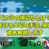 バカラの損切りについて解説