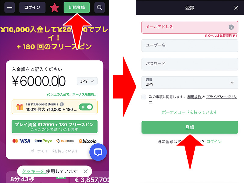 STEP1.　ビットスターズにアクセスしてアドレス等を入力